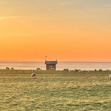 In Hébergement de vacances Westerland